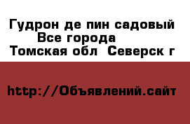 Гудрон де пин садовый - Все города  »    . Томская обл.,Северск г.